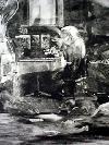 Inks - Monotype
