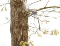 Larry Osso Art