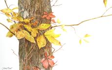 Larry Osso artist