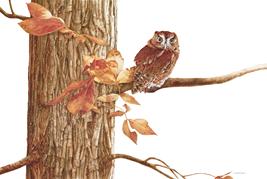 Larry Osso Art